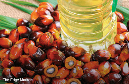 Malaysia Oct 1-31 palm oil exports fall 6.4% m/m -ITS