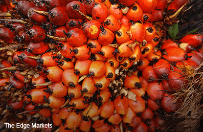 Malaysia's Feb 1-10 palm oil exports down 3.1% m/m -ITS