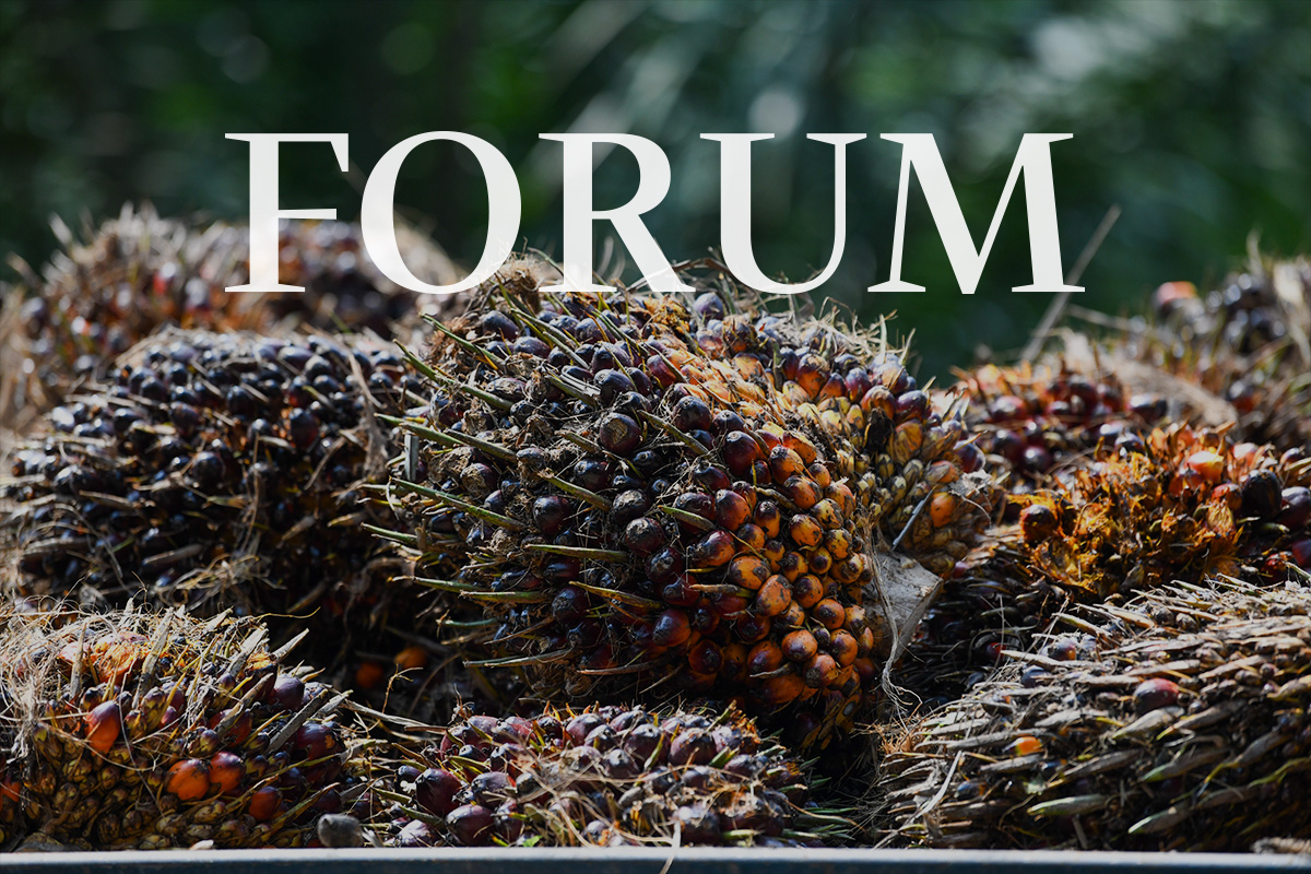 How RSPO is putting two decades of certification evidence in front of capital markets How RSPO is putting two decades of certification evidence in front of capital markets