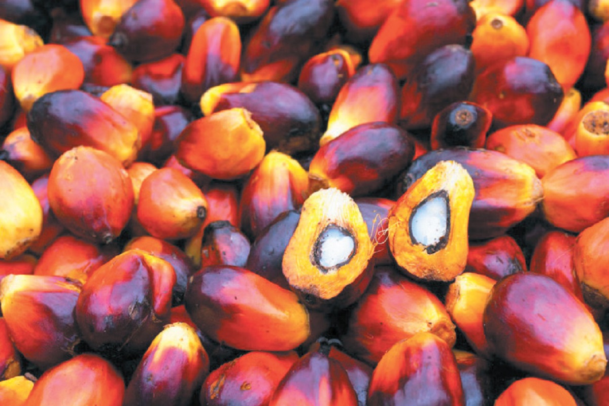 Malaysian palm oil losing price competitiveness — Maybank Kim Eng