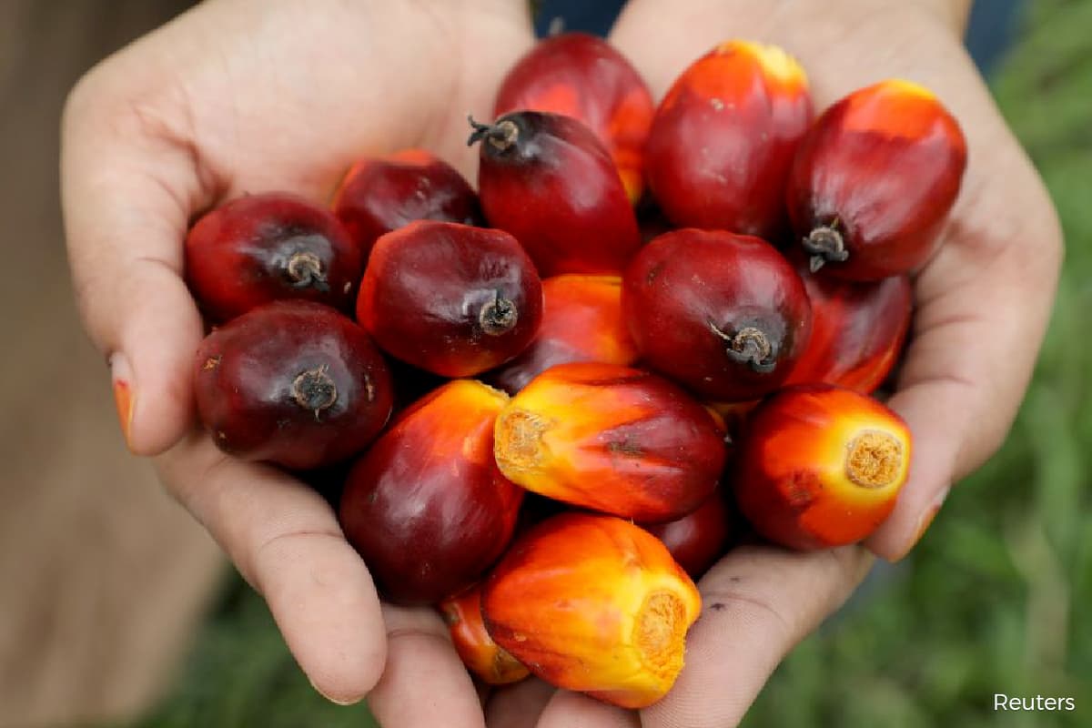 Malaysian, Indonesian palm oil methyl ester exports hit eight-month high — report