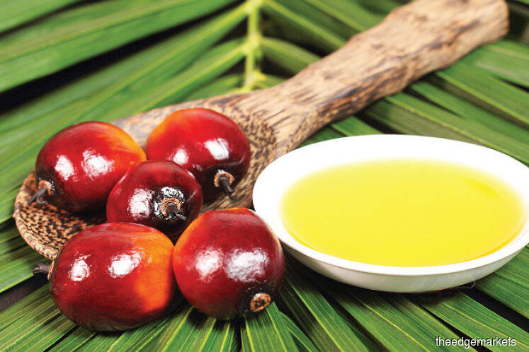 Palm oil: Sustainability criteria and certification to gain prominence post-Covid-19