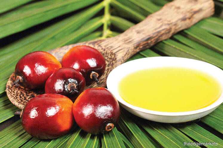 Chinese palm oil imports expected to decline