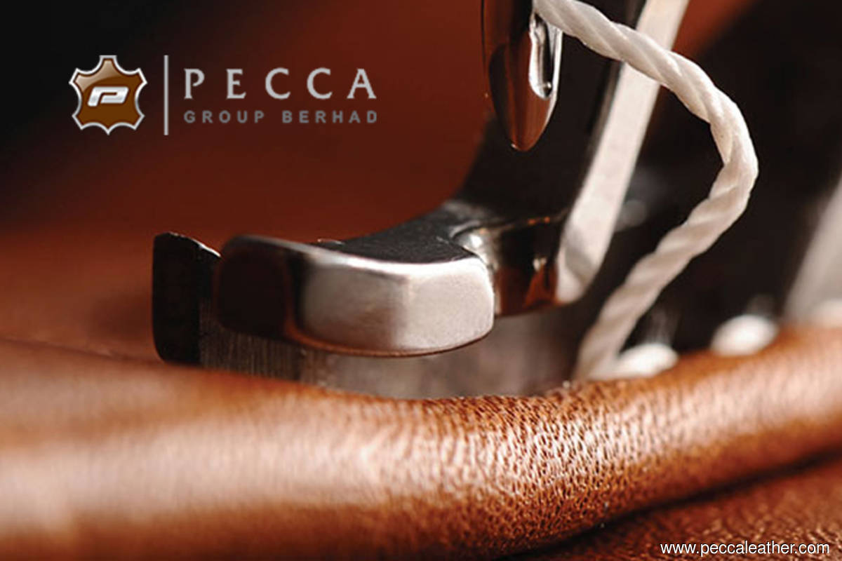 Pecca proposes to acquire Indonesian car leather upholstery maker