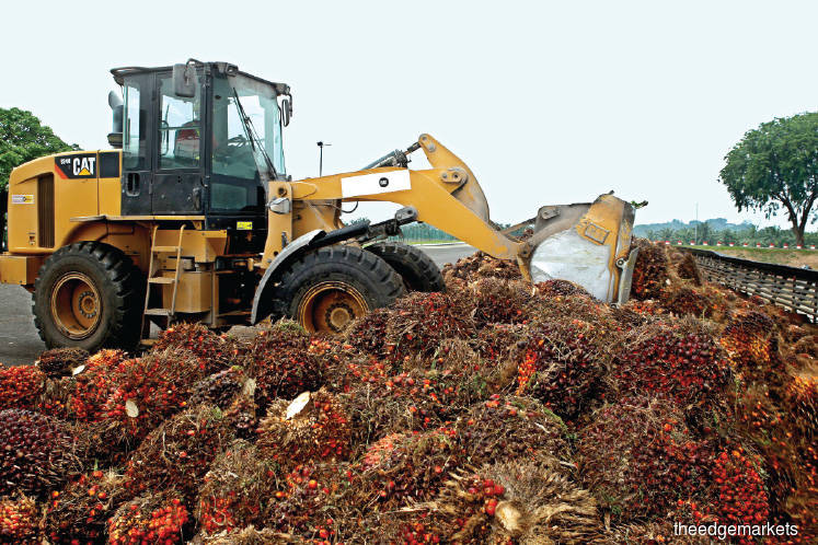 China-US tariffs seen to be negative for palm oil