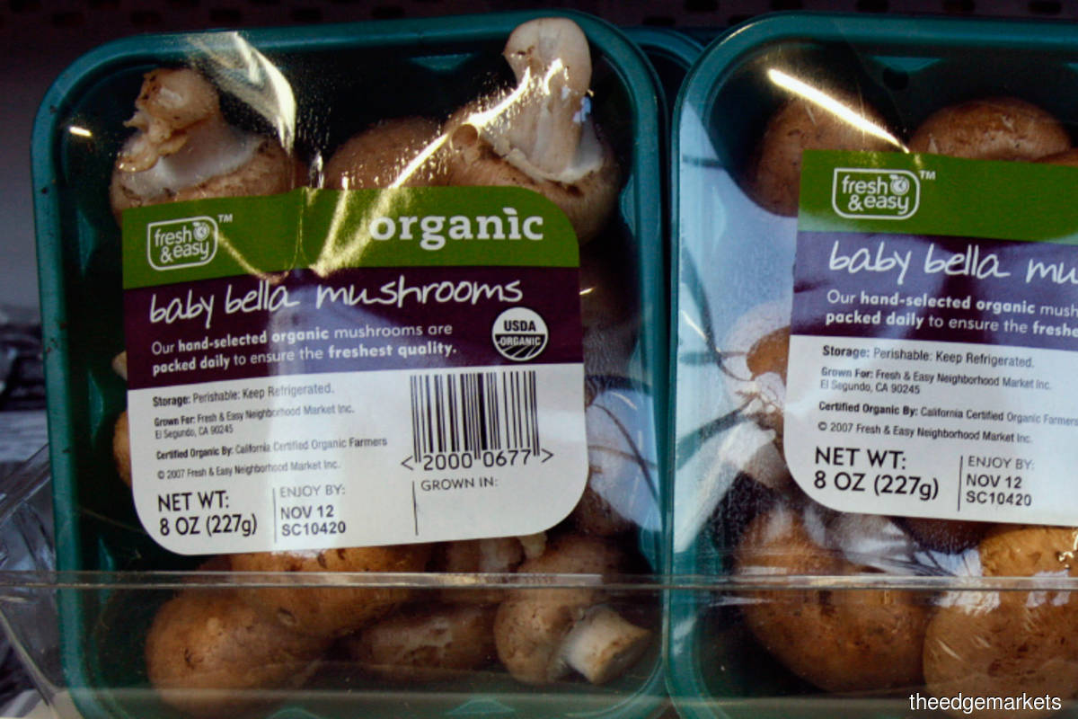 Better Prospects For Plastic Packaging Companies As Economy Reopens The Edge Markets