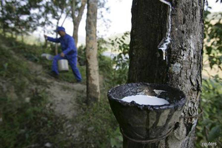 Malaysia's Sept rubber output down 12.6% on year 