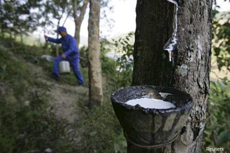 Malaysia's April rubber production up 17.1% on year