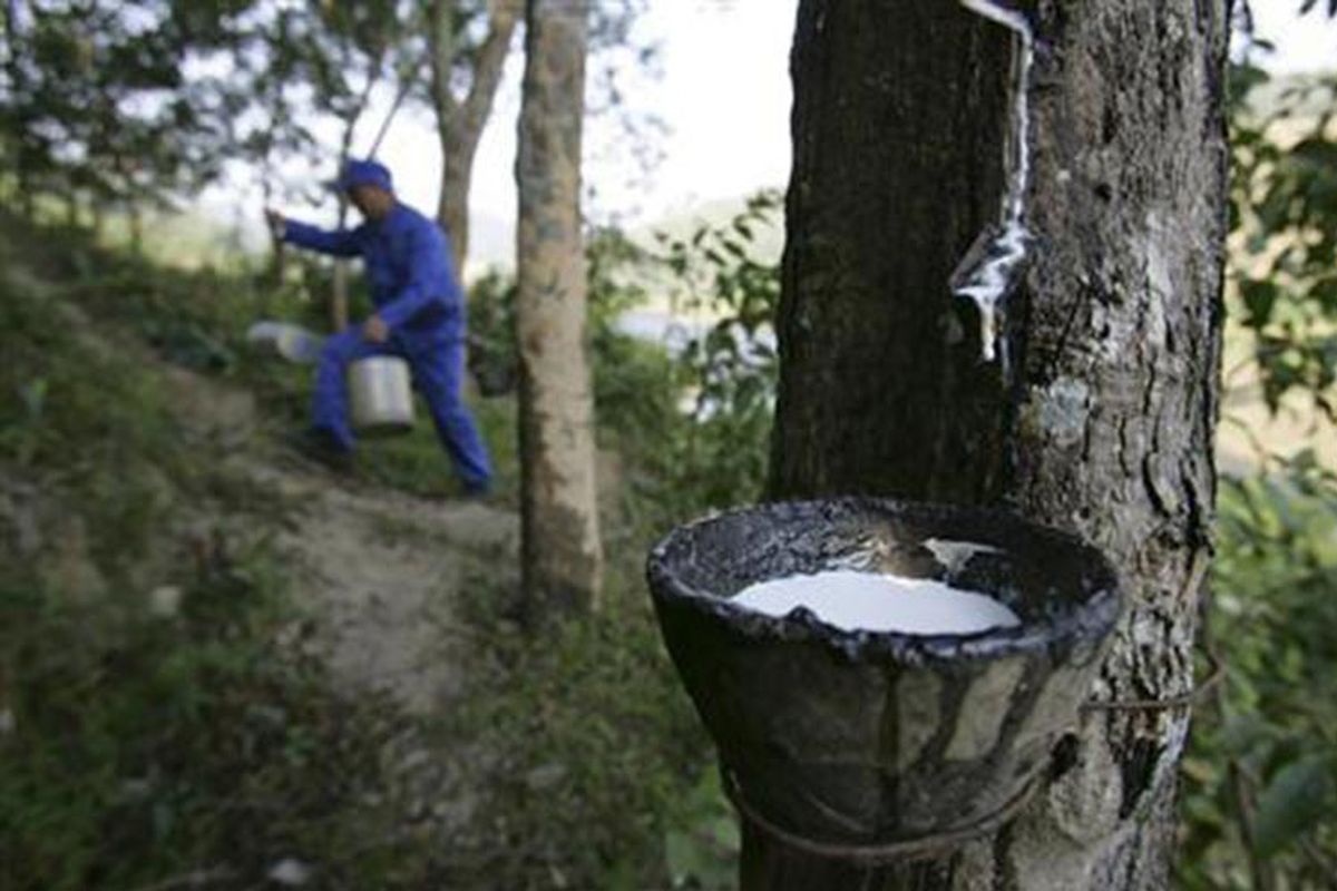 Fears of global recession drags rubber market lower