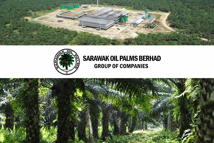 Sarawak Oil Palms suffers net profit nosedive of 84% in 2Q | The Edge ...