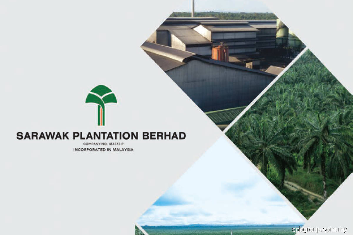 Sarawak Plantation 3Q net profit more than doubles to RM42m