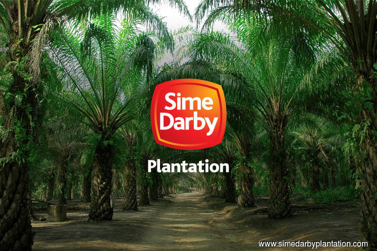 Sime Darby Plantation Organization Chart