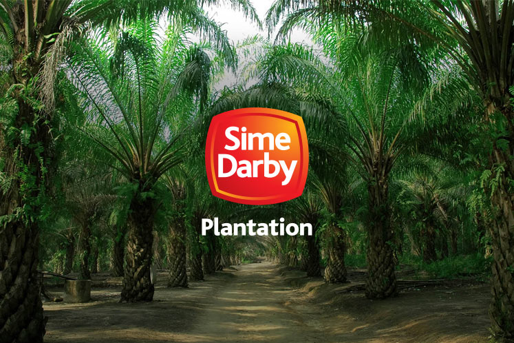 Sime Darby becomes largest producer of MSPO certified palm oil to date