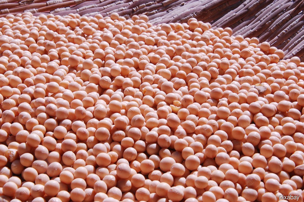 Soybeans drop to over nine-month low on higher US stocks