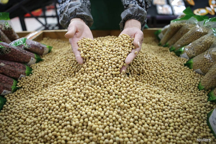 Soybeans hit 2-1/2-month high after USDA cuts yield estimate
