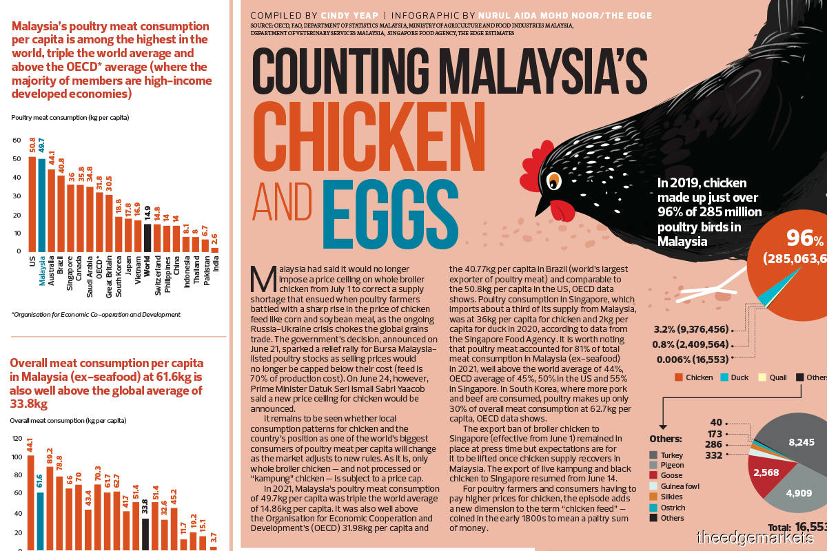 Counting Malaysia’s chicken and eggs