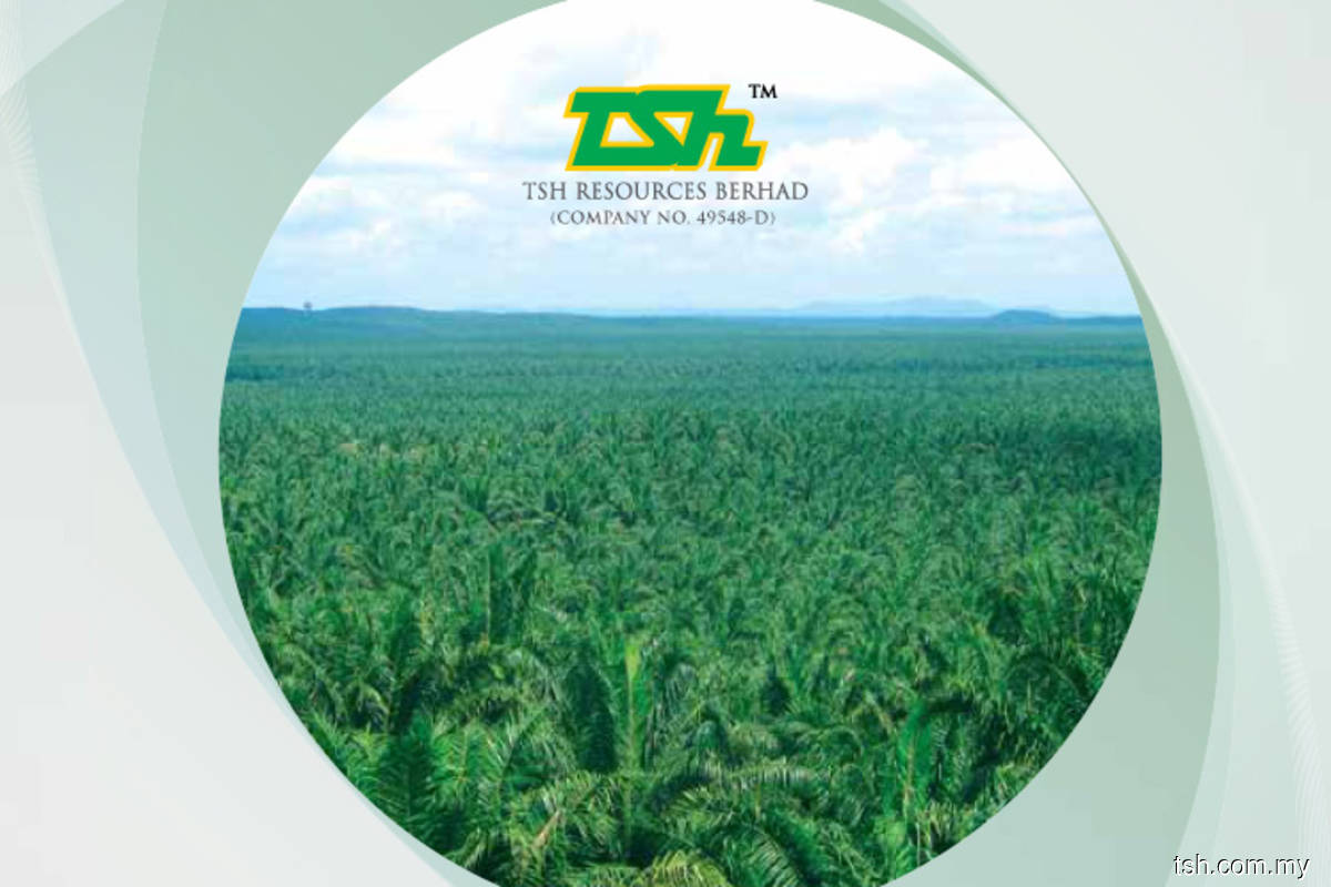 Higher CPO, palm kernel drive TSH 2Q earnings to RM57 mil