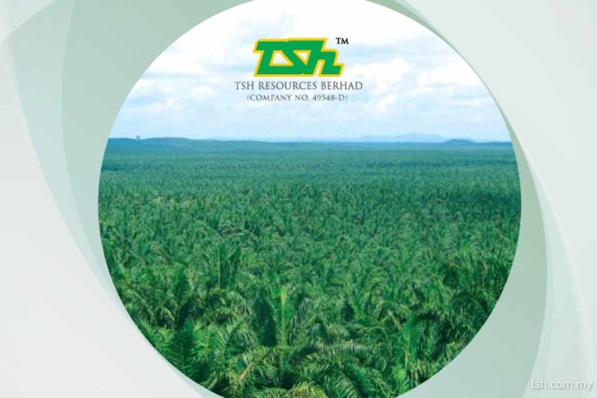 TSH extends decline to over one-month lows after unit fined RM42 mil by Indonesia