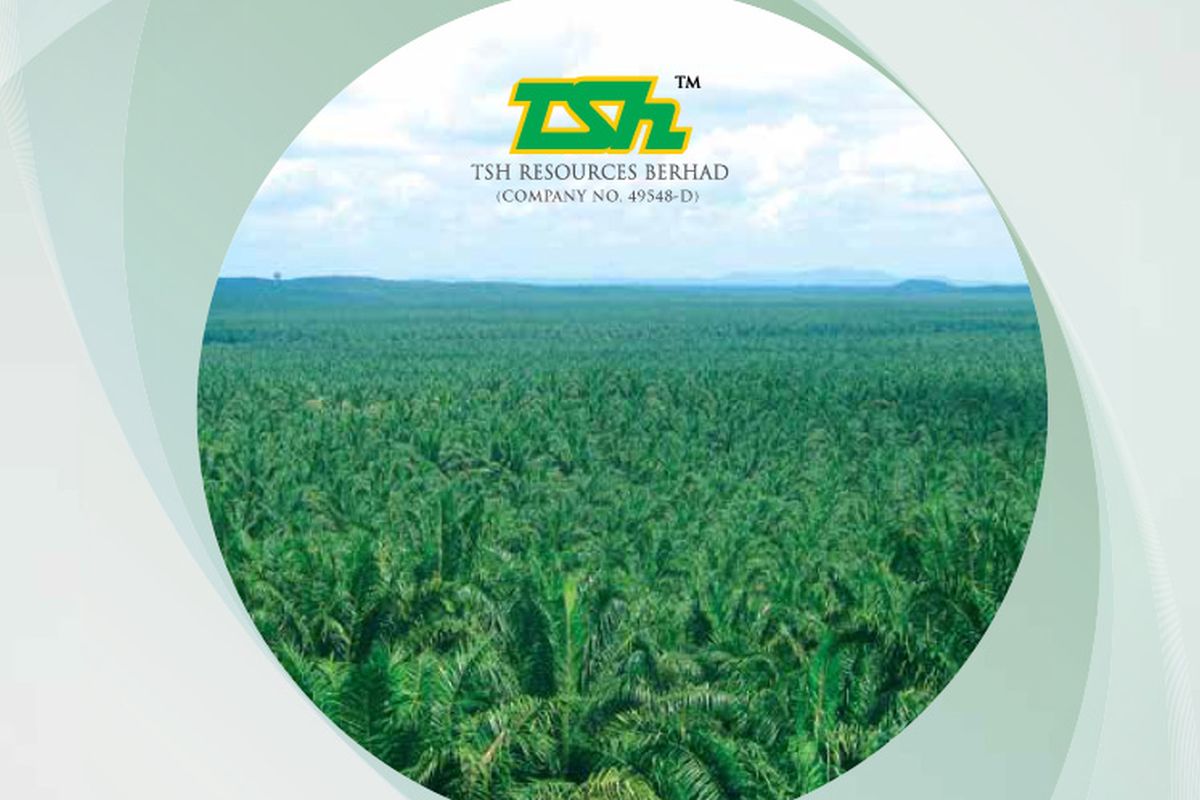 TSH Resources falls over two-month low as 1Q underperforms
