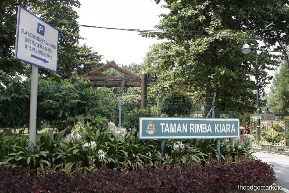 Appeal court quashes Taman Rimba Kiara development order
