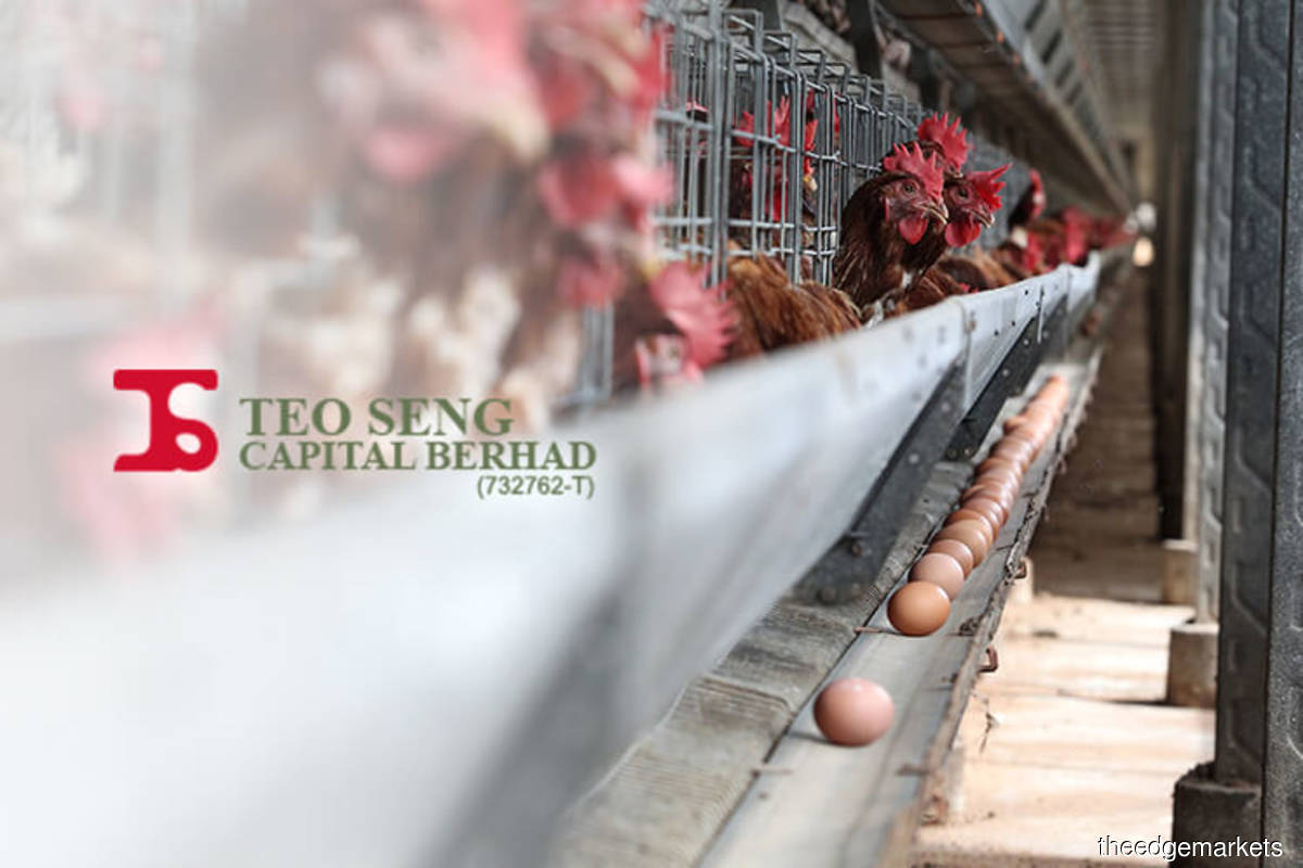 Teo Seng drops after Singapore recalled eggs from its layer farm