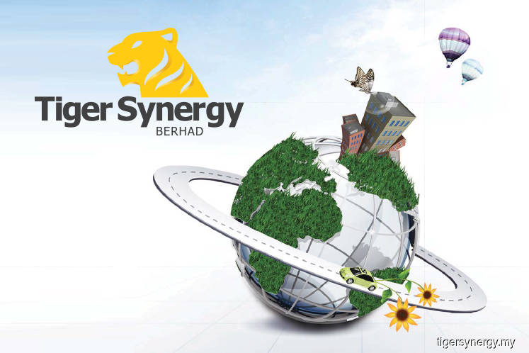 Tiger Synergy Rejects Major Shareholder S Hijack Claim Over Egm The Edge Markets