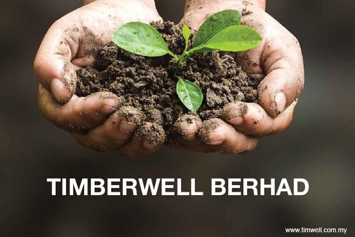 Timberwell share price hits limit up