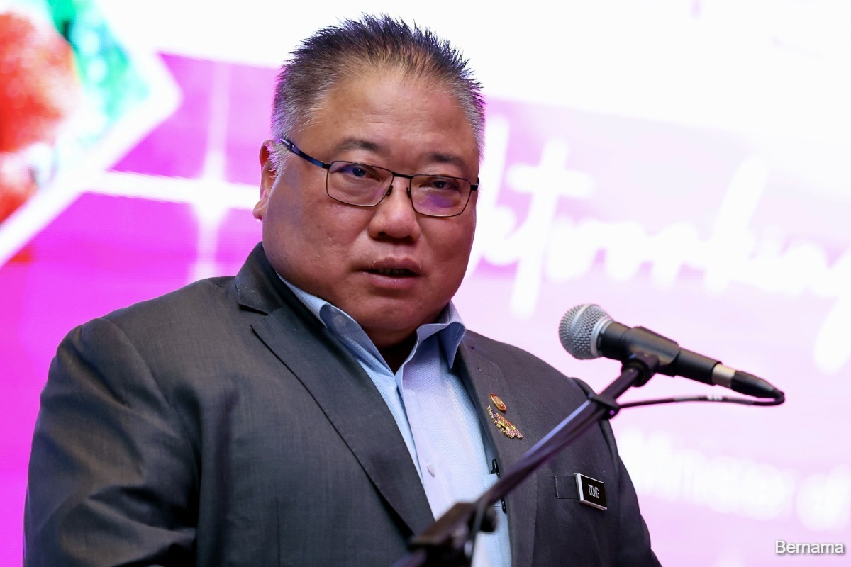 Motac to intensify Visit Malaysia Year promotions &mdash; Tiong