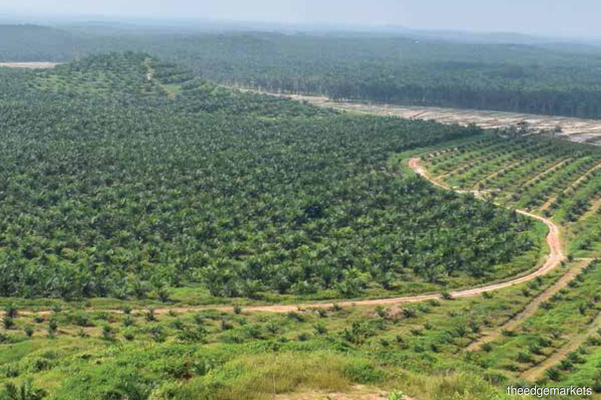 United Malacca’s diversification strategy backfires