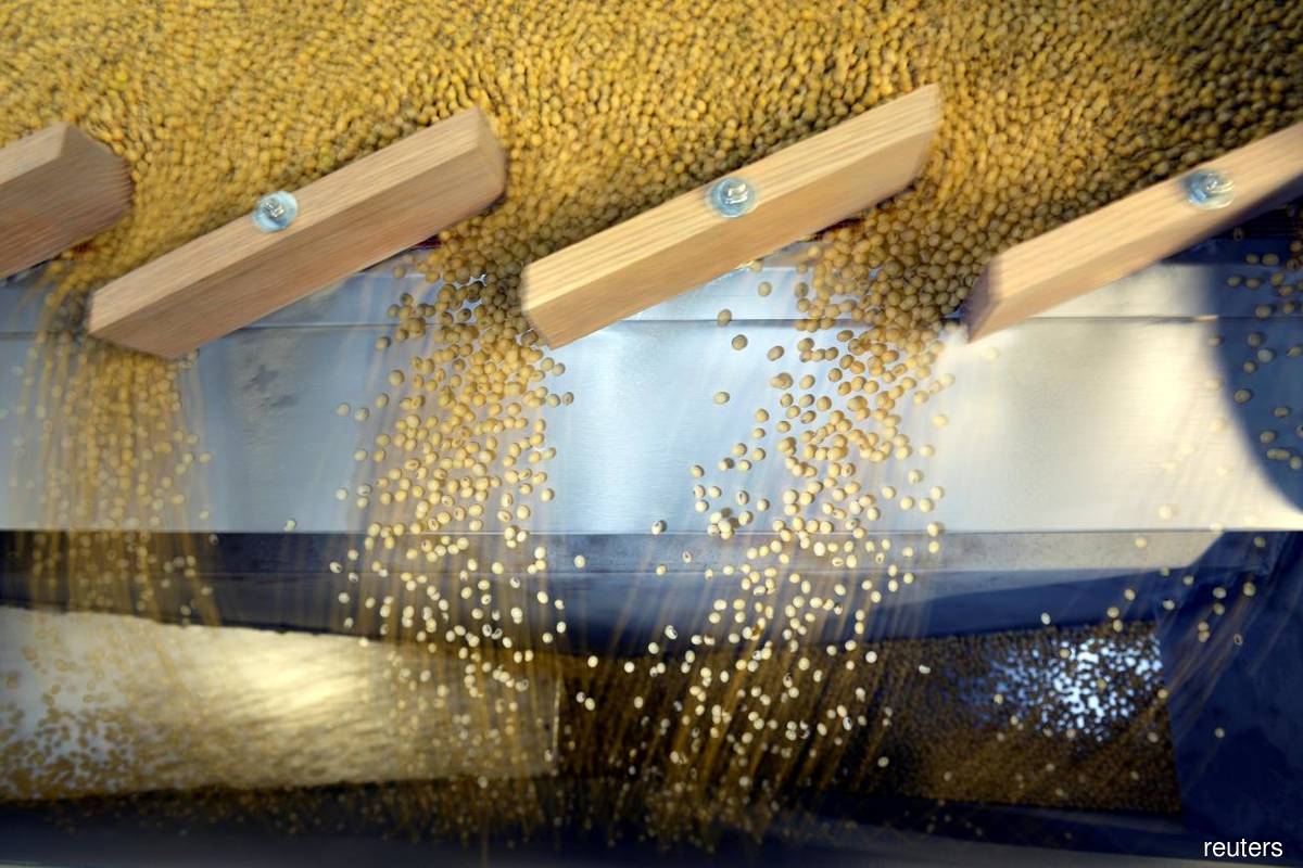 Corn, soybeans firm as US crop conditions decline; recession fears weigh