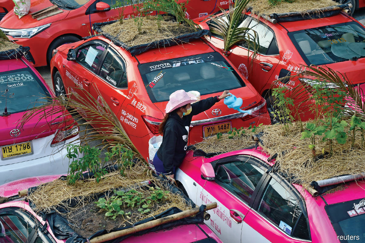 An employee watering vegetables on unused taxis parked at Ratchaphruek Taxi Cooperative in Bangkok, Thailand. Bangkok’s taxis have become vegetable gardens in the ongoing economic crisis.