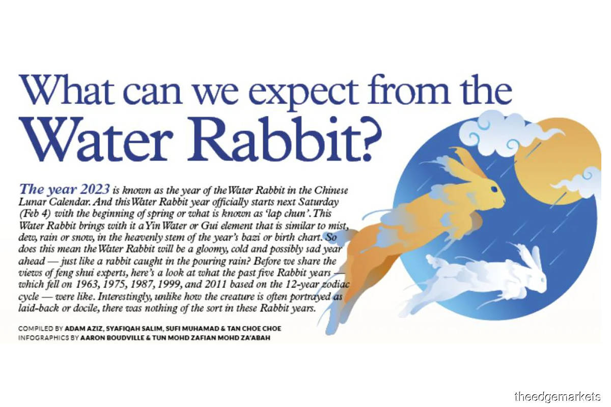 What can we expect from the Water Rabbit?