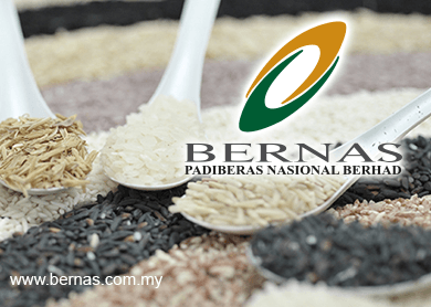 Explain Bernas’ channelling of RM700 million to Syed Mokhtar firm, PKR