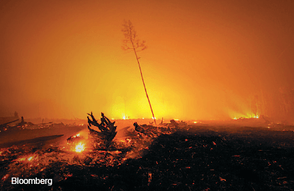 Indonesia’s fires are our problem