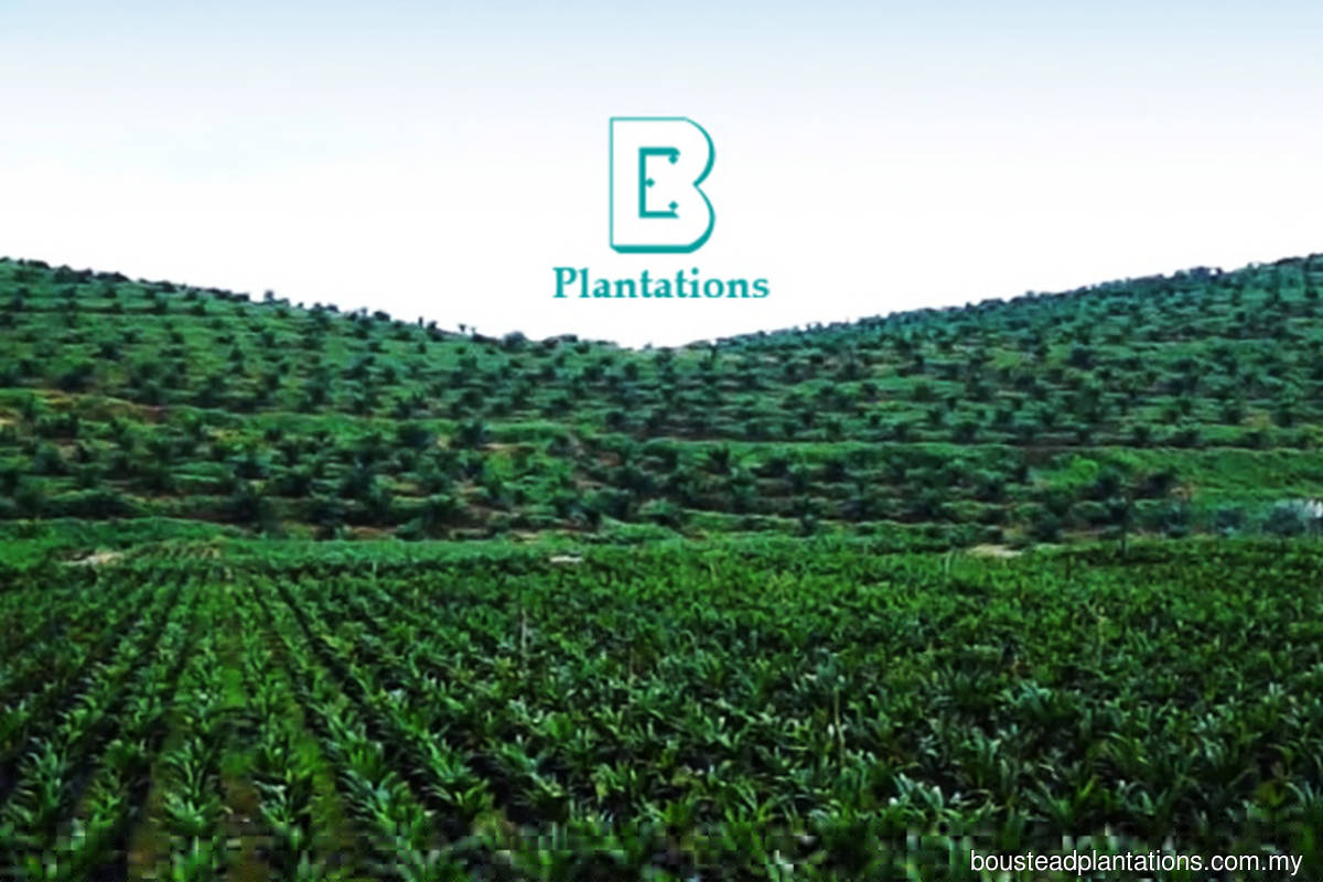 Boustead Plantations 1Q Net Profit Surges To RM435m KLSE Screener