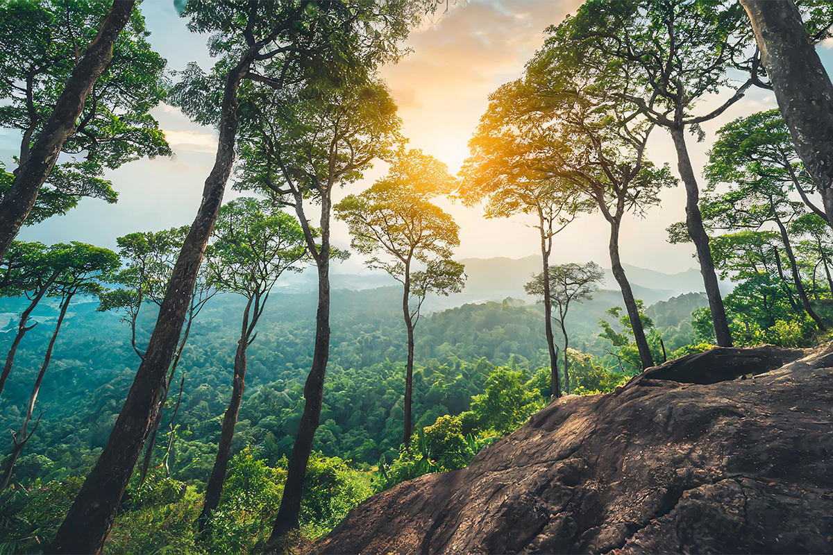 Financing the Future: From Carbon to Nature