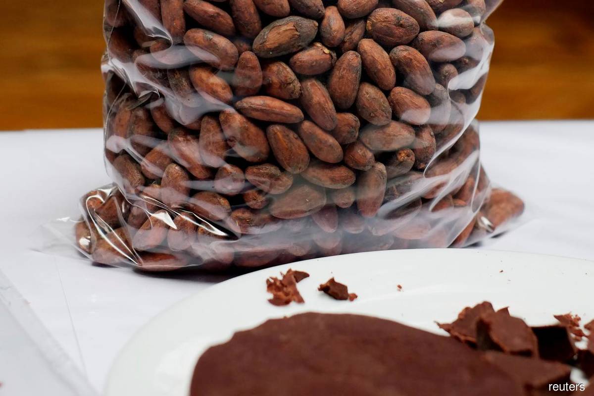 Olam calls for global cocoa rules as EU plans ethical chains
