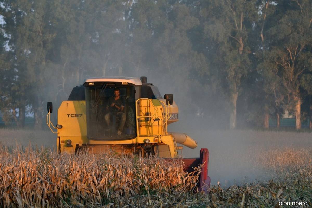 US farmers to plant less corn, soybean acreage than expected – USDA