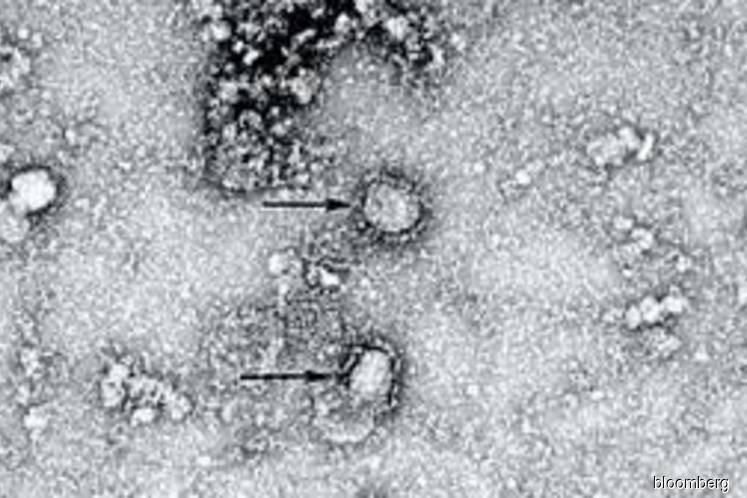 Wuhan virus: Americans evacuated from Chinese outbreak epicentre land in US