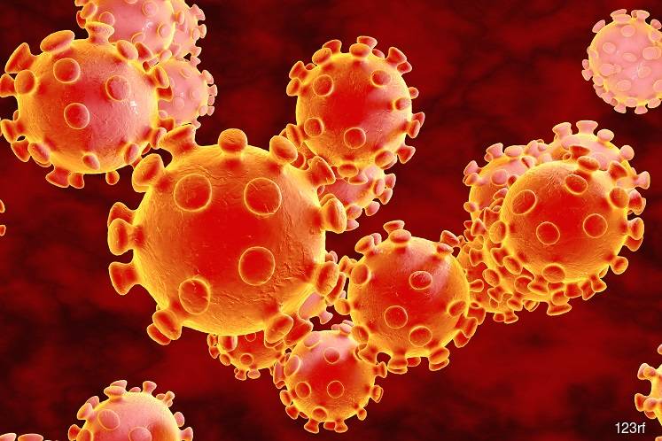 China coronavirus death toll rises to 2,744
