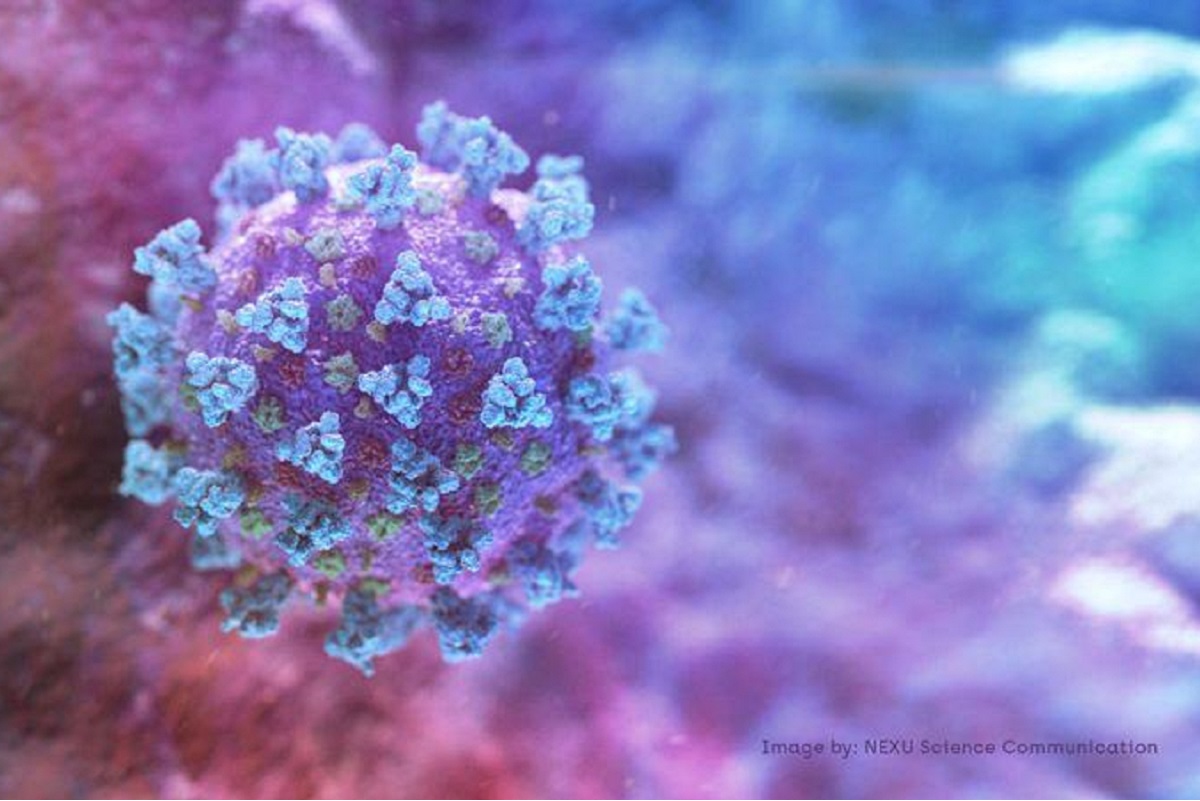 A computer image created by Nexu Science Communication together with Trinity College in Dublin, shows a model structurally representative of a betacoronavirus which is the type of virus linked to Covid-19, shared with Reuters on Feb 18, 2020. NEXU Science Communication/via REUTERS