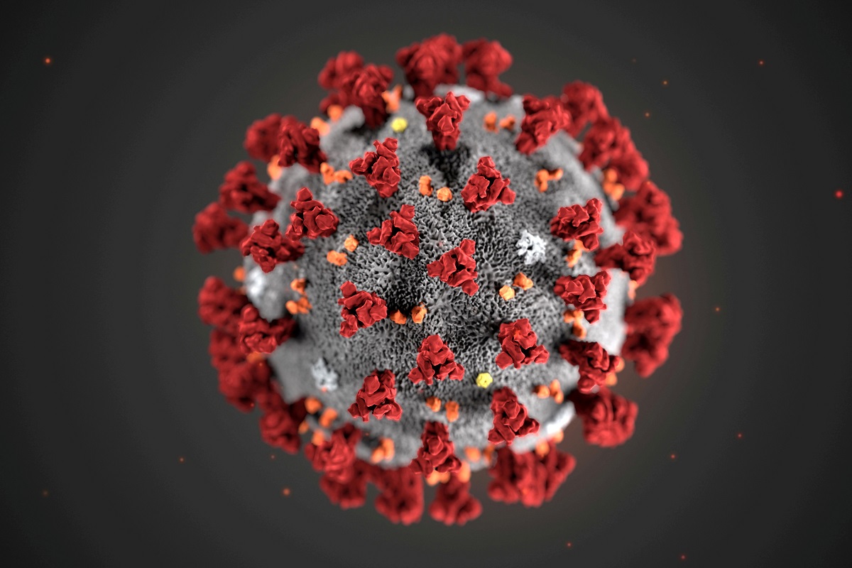Profiling coronavirus mutations help scientists find weak spots