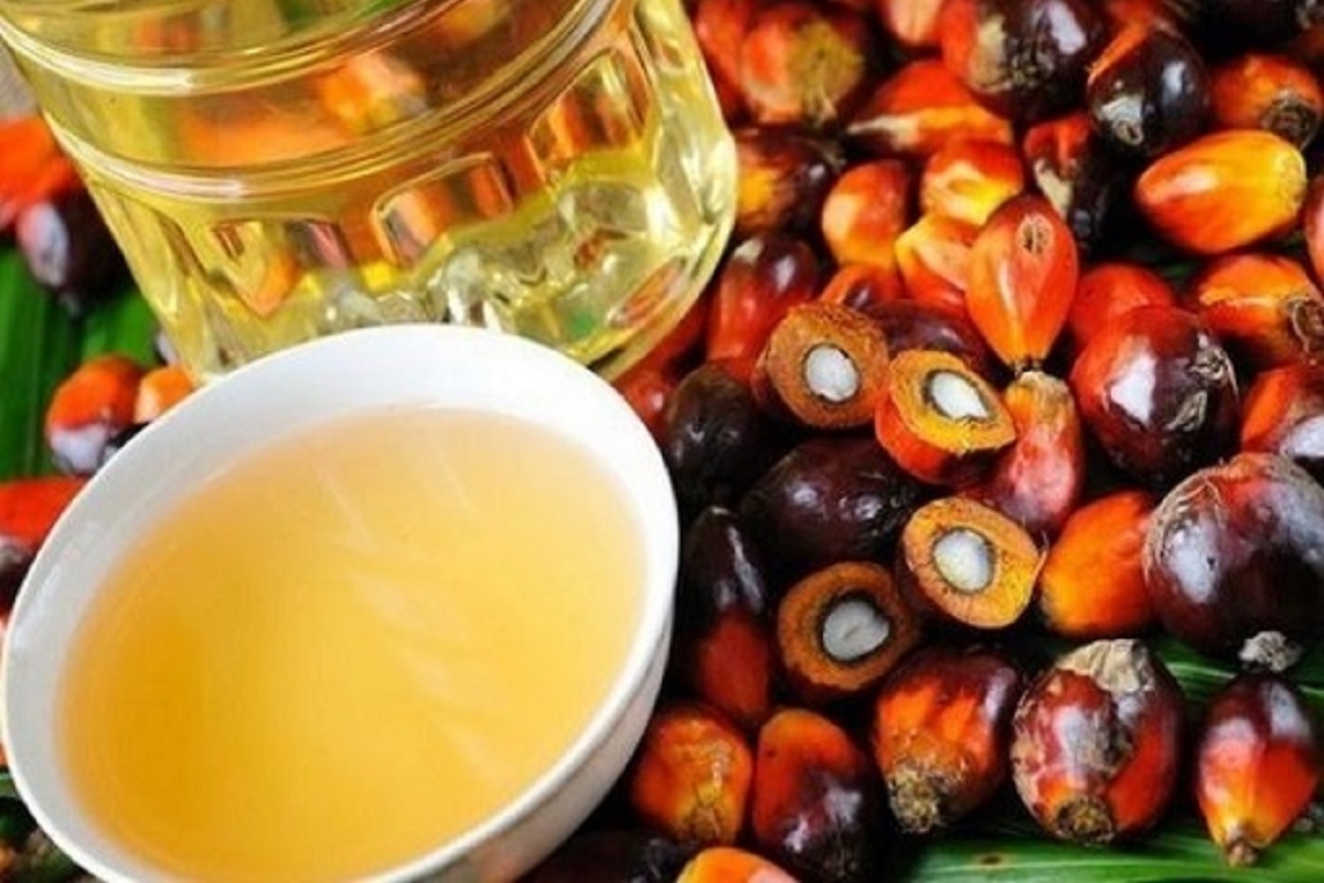 Palm oil tumbles to two-week low as soybean oil extends losses