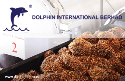 Dolphin International Fixes Bonus Warrant Strike Price At 80 Sen Apiece The Edge Markets