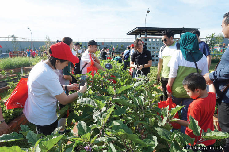 City of Elmina gets first community edible gardens
