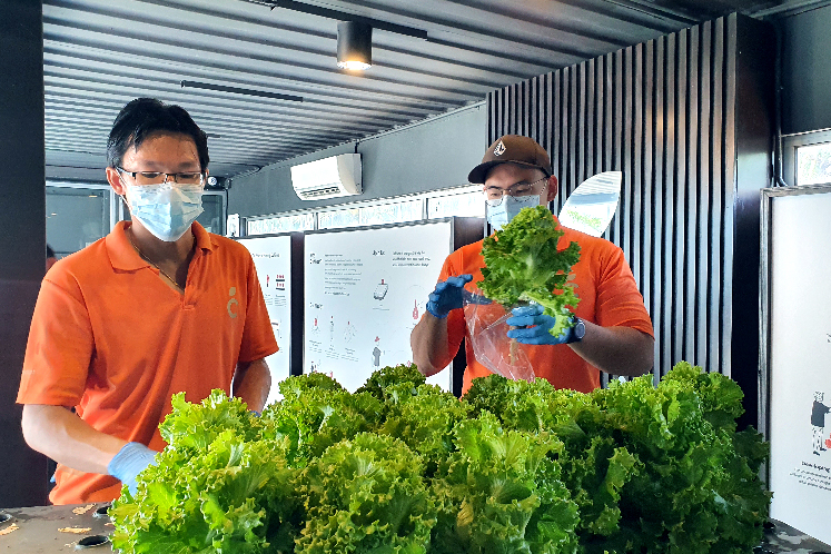 Agritech purveyor offers on-demand fresh produce  
