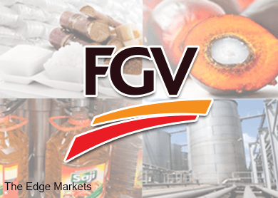 fgv_results_theedgemarkets