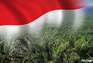 plantation_indonesia