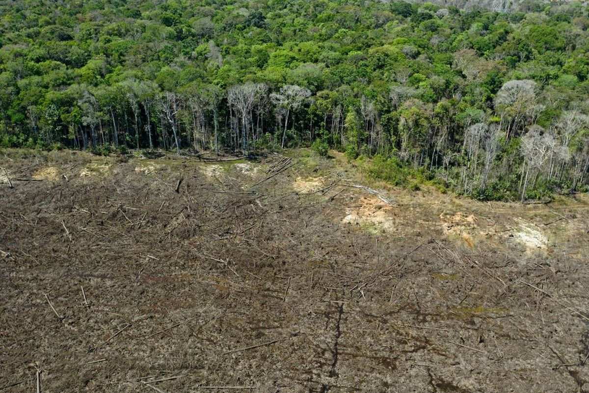 Development near Bukit Cherakah Forest Reserve, SACF, not within Permanent Forest Reserve land — Exco