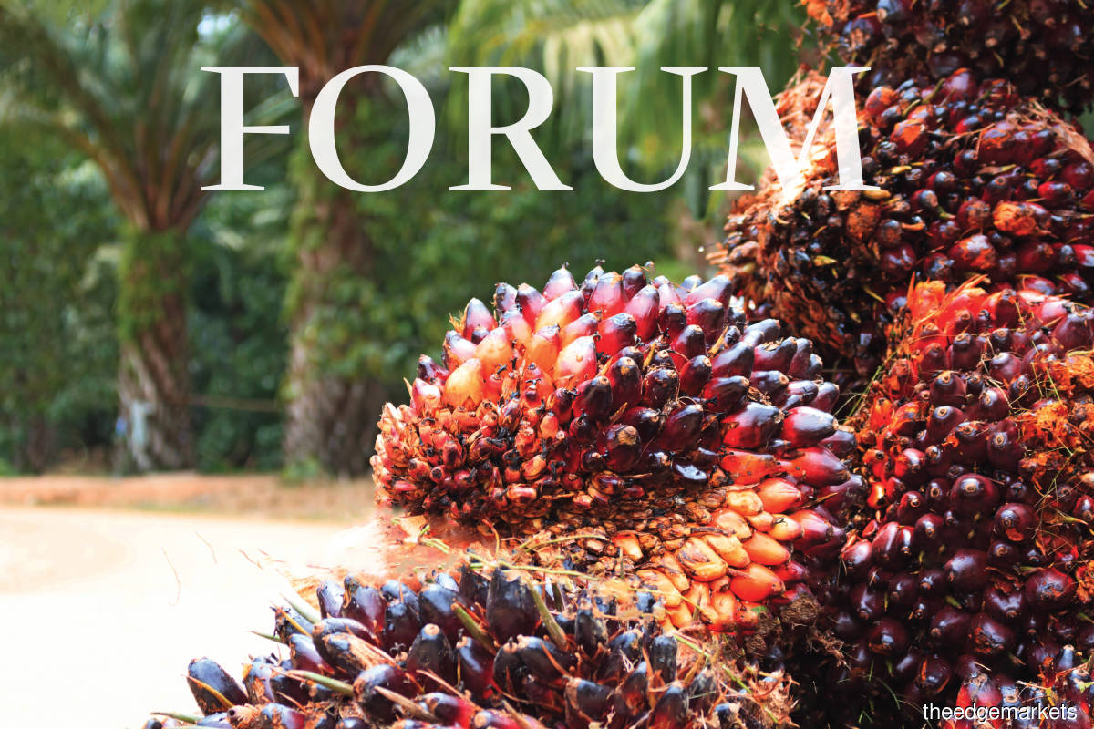 My Say: The palm oil industry can be net-zero carbon by 2040